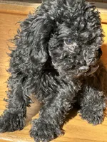 processed/c776590f-d44e-490d-bd3e-574e3ff8ed50/listing/6b71496c-06d1-4173-8c47-eb3d295f3e63/f63f74a1-afac-453c-9bcb-729eae2b7b9c