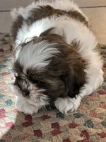 processed/c776590f-d44e-490d-bd3e-574e3ff8ed50/listing/6dc63f67-4acd-48cc-916e-7697f83f78be/b45e23a3-8f80-4da2-b8fb-009ffda574f9