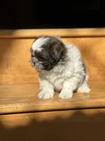 processed/c776590f-d44e-490d-bd3e-574e3ff8ed50/listing/6dc63f67-4acd-48cc-916e-7697f83f78be/fc0bd625-452a-4456-a2d0-5ebb51f7808d