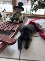 processed/c776590f-d44e-490d-bd3e-574e3ff8ed50/listing/be1eb5f7-f336-4f83-ac47-819f384503dd/048ba53f-5b17-4d46-827b-b6cab977682d