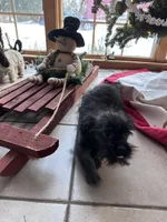 processed/c776590f-d44e-490d-bd3e-574e3ff8ed50/listing/be1eb5f7-f336-4f83-ac47-819f384503dd/b693c107-dd41-455e-ad46-6ddec7c0c506