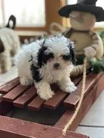 processed/c776590f-d44e-490d-bd3e-574e3ff8ed50/listing/f5f9b6a7-c6c8-4b4e-b85a-81669b5ca2f2/0420776c-68c6-40be-81bc-c1310c25ecde