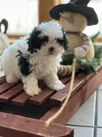 processed/c776590f-d44e-490d-bd3e-574e3ff8ed50/listing/f5f9b6a7-c6c8-4b4e-b85a-81669b5ca2f2/f7d69483-3f35-4dd9-8b03-d53e79cfc80f