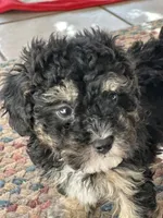 processed/c776590f-d44e-490d-bd3e-574e3ff8ed50/listing/fea2de7e-90af-4707-8df5-417efd2339cf/39c15fc1-81a3-4750-ac12-5ef339207e32