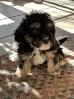 processed/c776590f-d44e-490d-bd3e-574e3ff8ed50/listing/fea2de7e-90af-4707-8df5-417efd2339cf/df76f5e2-60ca-42ba-b7be-109f5f3e513e