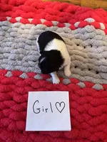 processed/c78dc7c6-16cb-4618-add0-f7ee28ff32c8/listing/28a5f28e-7384-4a30-963c-ca89eea3e869/68e3555d-9586-427b-8ebb-84081c6a9234