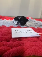 processed/c78dc7c6-16cb-4618-add0-f7ee28ff32c8/listing/28a5f28e-7384-4a30-963c-ca89eea3e869/e21dd59a-a263-4aa1-8583-0afbd0e6f80d