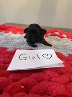 processed/c78dc7c6-16cb-4618-add0-f7ee28ff32c8/listing/326856dd-ee5c-487f-85c0-0789fa9028ed/2e38cd1f-7e08-4801-9fd7-7bc1ae182b2f