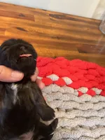 processed/c78dc7c6-16cb-4618-add0-f7ee28ff32c8/listing/326856dd-ee5c-487f-85c0-0789fa9028ed/44d44d26-8bbe-4863-b5da-277fbb9ff4ed