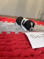 processed/c78dc7c6-16cb-4618-add0-f7ee28ff32c8/listing/32ff0cda-5253-4a28-a94f-a4c0eaf53cca/6c1d0c0d-d7e7-451f-a49f-607abe52c9c7