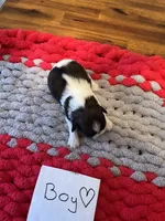 processed/c78dc7c6-16cb-4618-add0-f7ee28ff32c8/listing/32ff0cda-5253-4a28-a94f-a4c0eaf53cca/87113edf-0904-4167-8033-05bc918744e4