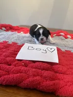 processed/c78dc7c6-16cb-4618-add0-f7ee28ff32c8/listing/32ff0cda-5253-4a28-a94f-a4c0eaf53cca/8b3f9c43-ba22-447f-9f87-1ceb80ae930b