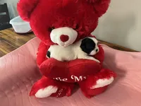 Ghinis girl 2, a female Shih Tzu for sale in Cullman, AL – Photo 3 of 6