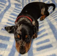 processed/c78ec758-beba-47da-a990-d594253e796f/listing/bcf54dc4-f72e-4407-8782-6d7ccf3a5177/268712a4-fa30-47b7-9047-c3badf05eec5