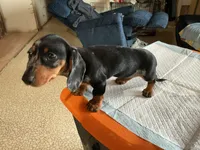 processed/c78ec758-beba-47da-a990-d594253e796f/listing/bcf54dc4-f72e-4407-8782-6d7ccf3a5177/5d5fc869-9761-4c52-9fd5-3af75dc02d2f