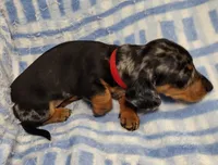 processed/c78ec758-beba-47da-a990-d594253e796f/listing/bcf54dc4-f72e-4407-8782-6d7ccf3a5177/74a0046d-0f33-4d57-ba1e-5bb2b3f7b09e