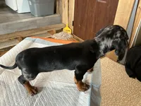 processed/c78ec758-beba-47da-a990-d594253e796f/listing/bcf54dc4-f72e-4407-8782-6d7ccf3a5177/75815e14-4c01-4f60-b2b4-a390bf7180d6