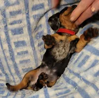 processed/c78ec758-beba-47da-a990-d594253e796f/listing/bcf54dc4-f72e-4407-8782-6d7ccf3a5177/79dcea81-1437-428d-9389-e54da40cfee2