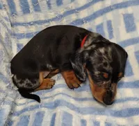 processed/c78ec758-beba-47da-a990-d594253e796f/listing/bcf54dc4-f72e-4407-8782-6d7ccf3a5177/bd39e0c0-1157-44c5-9a32-81b25b38575d