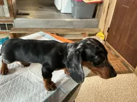 processed/c78ec758-beba-47da-a990-d594253e796f/listing/bcf54dc4-f72e-4407-8782-6d7ccf3a5177/d9576009-49ad-49a3-8ea1-1d9fb1c4ad40