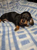 processed/c78ec758-beba-47da-a990-d594253e796f/listing/c6fa512b-cc45-4368-bfa5-c072a479f467/03e8cd65-88ce-454a-934b-fa8f3c2605d9