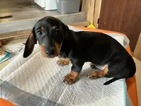 processed/c78ec758-beba-47da-a990-d594253e796f/listing/c6fa512b-cc45-4368-bfa5-c072a479f467/5f381670-fdeb-45bf-a07d-7f0508662eac