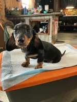 processed/c78ec758-beba-47da-a990-d594253e796f/listing/c6fa512b-cc45-4368-bfa5-c072a479f467/7af1fbfc-6df4-41ff-8e4f-5307fc466939