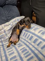 processed/c78ec758-beba-47da-a990-d594253e796f/listing/c6fa512b-cc45-4368-bfa5-c072a479f467/979947f7-d080-499c-8fa7-d596307047b6