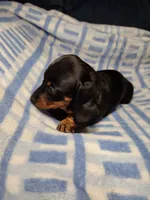 processed/c78ec758-beba-47da-a990-d594253e796f/listing/c6fa512b-cc45-4368-bfa5-c072a479f467/a2e5b411-9b27-48b9-bf58-cf83c9a18d37