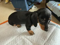 processed/c78ec758-beba-47da-a990-d594253e796f/listing/c6fa512b-cc45-4368-bfa5-c072a479f467/f10199f0-0c20-457a-b4dd-7ad0ba643462