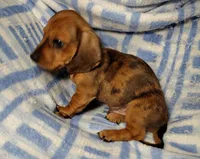 processed/c78ec758-beba-47da-a990-d594253e796f/listing/c9f58f4d-d4e9-4bcd-a883-d74d388975ec/0525bc9a-e2aa-4242-b749-4fe14cfa5554