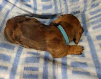 processed/c78ec758-beba-47da-a990-d594253e796f/listing/c9f58f4d-d4e9-4bcd-a883-d74d388975ec/3b4c642e-d2b4-4c4f-8399-e2372304e063