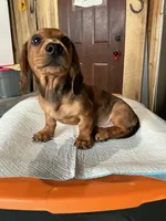 processed/c78ec758-beba-47da-a990-d594253e796f/listing/c9f58f4d-d4e9-4bcd-a883-d74d388975ec/a619b126-92b6-4e97-b587-6457febb000b