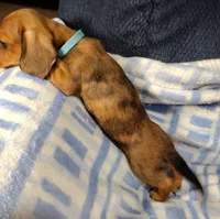 processed/c78ec758-beba-47da-a990-d594253e796f/listing/c9f58f4d-d4e9-4bcd-a883-d74d388975ec/ae417217-c294-4adf-b7b8-e4177af5f87e