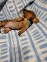 processed/c78ec758-beba-47da-a990-d594253e796f/listing/c9f58f4d-d4e9-4bcd-a883-d74d388975ec/d631605e-9bf0-47c0-8d15-857ad2178e55