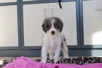 processed/c790d28b-4228-4a95-9ea5-b646cf679391/listing/2042ee7e-7b2a-45cb-8f7b-fbb200ac7cc0/0cd95e73-2c6f-400b-8087-44984d2b6dae