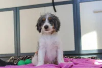 processed/c790d28b-4228-4a95-9ea5-b646cf679391/listing/2042ee7e-7b2a-45cb-8f7b-fbb200ac7cc0/45d438ae-d758-43ac-bccb-9cfea267a25b