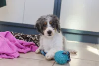 processed/c790d28b-4228-4a95-9ea5-b646cf679391/listing/2042ee7e-7b2a-45cb-8f7b-fbb200ac7cc0/d86180eb-3509-41c6-be68-cd66b9c8825e