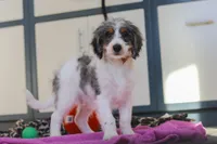 processed/c790d28b-4228-4a95-9ea5-b646cf679391/listing/2042ee7e-7b2a-45cb-8f7b-fbb200ac7cc0/ef1487ed-e915-4c9c-b4a1-5c2947489099