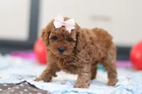 processed/c790d28b-4228-4a95-9ea5-b646cf679391/listing/267498d0-6c0d-4710-b185-336de95eb792/761a63e6-f1ab-4ff6-9165-16a1b06933c6