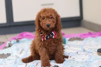 processed/c790d28b-4228-4a95-9ea5-b646cf679391/listing/36e0532f-8cef-4be5-b37e-ebd279c51528/99e363b8-a346-47cc-bcbb-e8c886603a78