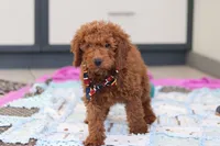 processed/c790d28b-4228-4a95-9ea5-b646cf679391/listing/36e0532f-8cef-4be5-b37e-ebd279c51528/9b0057e3-4624-4962-bef0-c6fb2c79c7df