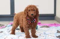 processed/c790d28b-4228-4a95-9ea5-b646cf679391/listing/36e0532f-8cef-4be5-b37e-ebd279c51528/ce45613a-217c-4480-b92e-b3c0d1d8d63b