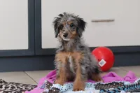 processed/c790d28b-4228-4a95-9ea5-b646cf679391/listing/57283094-6cf1-4608-ac9d-7e2d15f2fcc2/2465f3a6-2b55-4285-bee6-7d174ef424b5