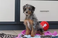 processed/c790d28b-4228-4a95-9ea5-b646cf679391/listing/57283094-6cf1-4608-ac9d-7e2d15f2fcc2/6a2d27ea-13f2-4a6c-b8ec-67abb251ed70