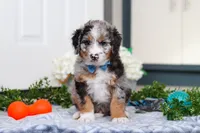 processed/c790d28b-4228-4a95-9ea5-b646cf679391/listing/5dd2618f-d80e-425b-9e81-df600354494d/e162667b-09da-4f36-952d-5893465ce854