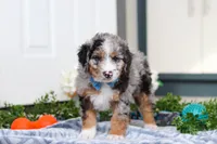 processed/c790d28b-4228-4a95-9ea5-b646cf679391/listing/5dd2618f-d80e-425b-9e81-df600354494d/e87782ec-bd6c-468e-aecd-0624581a7379