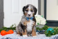 processed/c790d28b-4228-4a95-9ea5-b646cf679391/listing/5dd2618f-d80e-425b-9e81-df600354494d/ed2b0b7b-9ad9-4879-af4f-feb20ce779f9