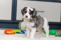 processed/c790d28b-4228-4a95-9ea5-b646cf679391/listing/7e0c4152-9cd9-46f2-9427-41a5266b9b63/474cd77d-dd14-44f4-9d8f-841ad1416897