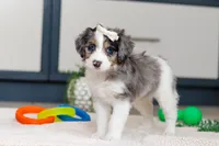 processed/c790d28b-4228-4a95-9ea5-b646cf679391/listing/7e0c4152-9cd9-46f2-9427-41a5266b9b63/83d28ead-8546-45ad-a298-ab2e6357ec5e